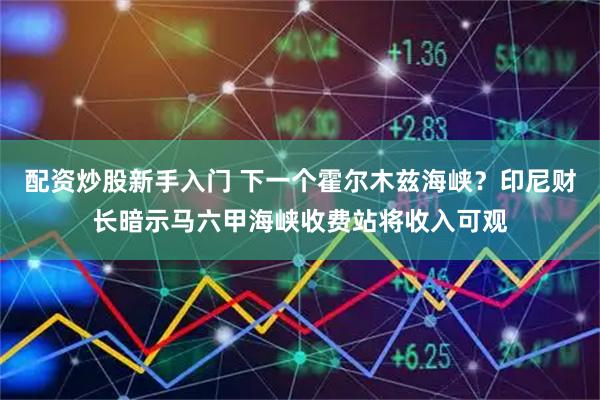 配资炒股新手入门 下一个霍尔木兹海峡？印尼财长暗示马六甲海峡收费站将收入可观